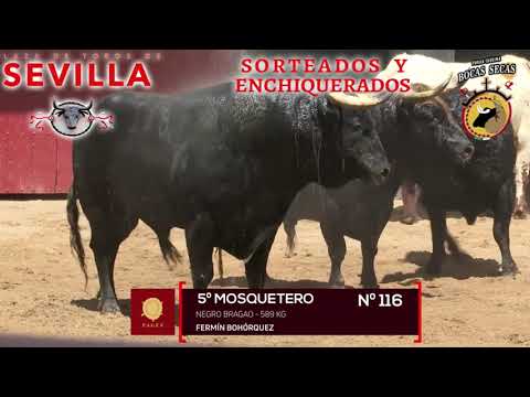 😍 Así llegó MORANTE DE LA PUEBLA a la Maestranza para lidiar la DÉCIMA de abono en Sevilla. 📍🇪🇸