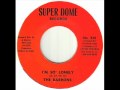 The Barrons - I'm So' Lonely.wmv