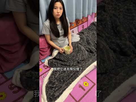 那就好好告个别吧，如果有来世我继续爱你 #萌主请就位 #搞笑 #pets