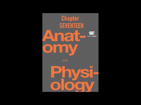 OpenStax Anatomy And Physiology Audiobook Chapter 17 - Read Along