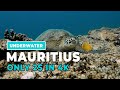 Mauritius Islands Scenic Underwater Cinematic 4K Footage