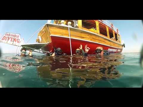 BLUE MERMAİD TRAVEL DIDYMA  spectacular city