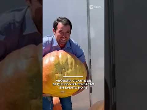 Agricultor apresenta abóbora gigante de 62 kg em festa no RS | #SBTManhã