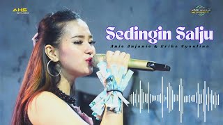 Download lagu Sedingin Salju - Anie Anjanie & Erika Syaulina ( COVER ) mp3