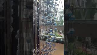 Royal Caribbean Allure of the Seas Views from the Elevator