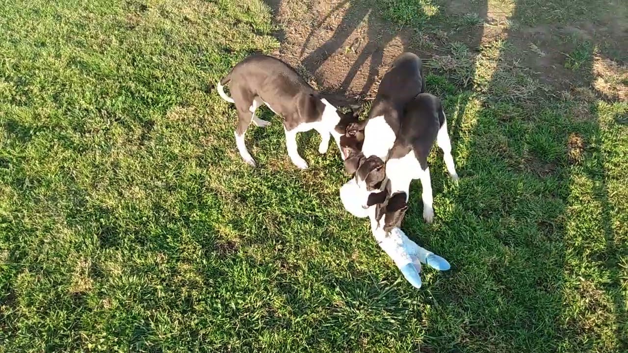 Some fun on windy day