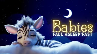 Babies Fall Asleep Fast Baby Zebra 🍼 Deep Sleep Lullaby With Soothing Melodies ♪♪♪