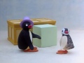 Pingu S02e14 Pingu The Conjurors Apprentice