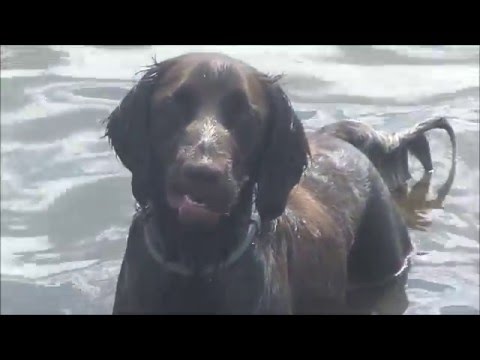 RytmRyzyko - Posłuchajcie ...  ( prod. DNA )