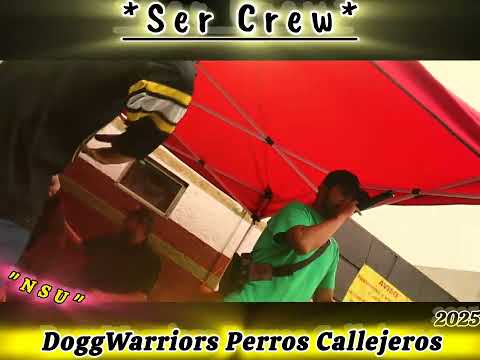 Kcron-Beat.NSU con su set de R.A.P en DoggWarriors Perros Callejeros 2025 desde Gitana#77 Tláhuac,Mx