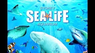 Cat Stevens-Morning has broken. Recording at Sealife. Sydney Aquarium. 2012 Oct. Nikon J1