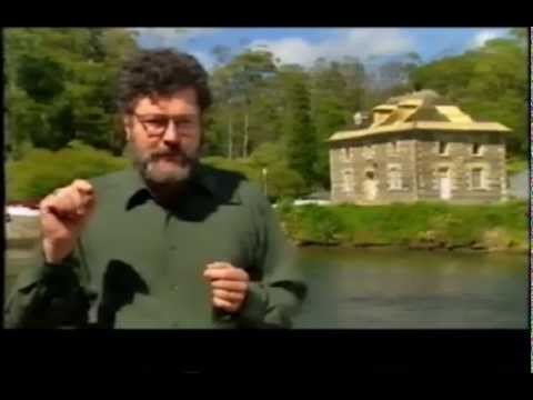 The New Zealand Wars