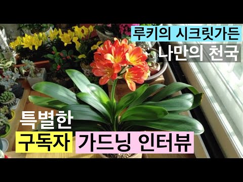 , title : '가드너 김성숙의 특별한 구독자 인터뷰 gardening interview #김성숙TV가드닝스쿨'