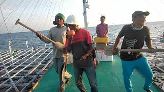 Download lagu Video lucu anak pelaut mp3 Download lagu Video lucu anak pelaut mp3