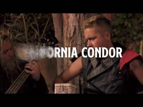 California Condor - Young When 69 teaser