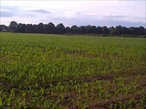 Sarah Fan't Suydevelt op het land in Beers NB