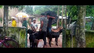 পি পি আর টিকা প্রদান-২০২৩