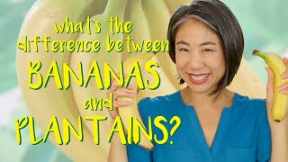 What's the difference between Bananas and Plantains? | Tasty & Informative