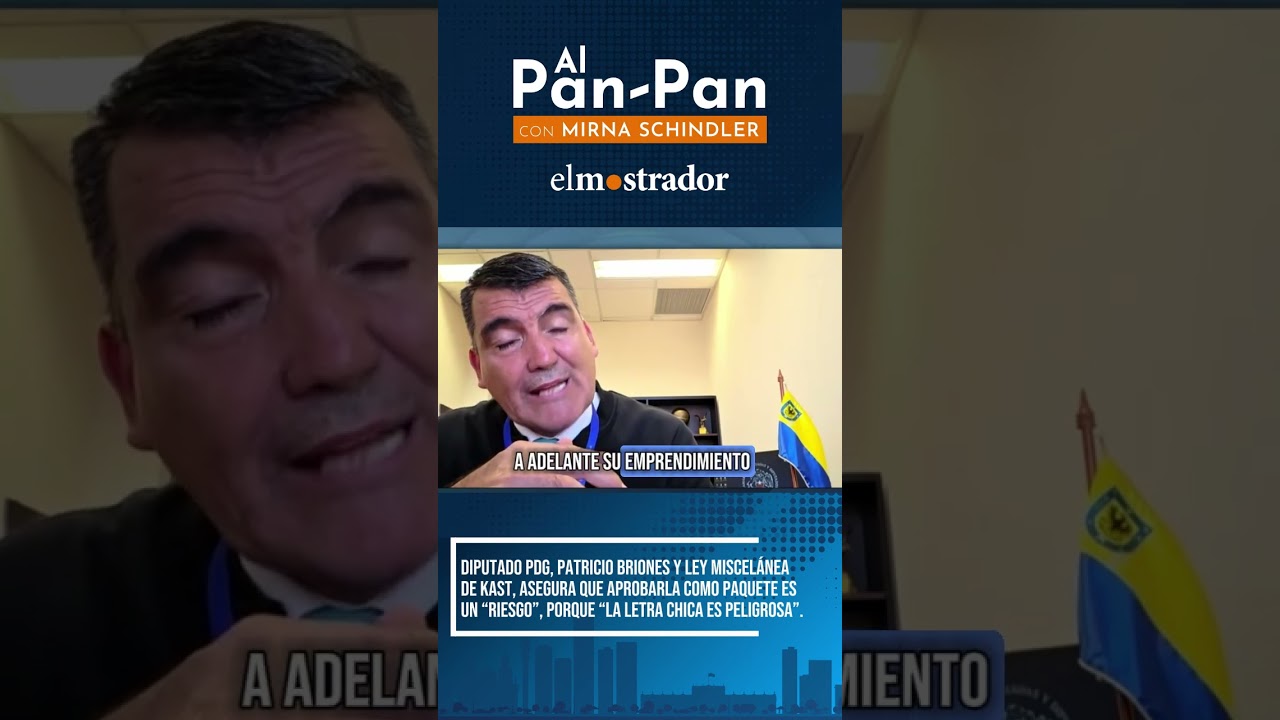 #AlPanPan | Diputado PDG, Patricio Briones y ley miscelánea de Kast