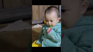 3 orphan sisters dig eels to eat for a day
