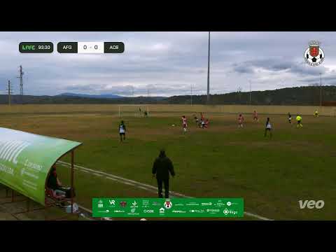 AF Guarda vs AF Castelo Branco