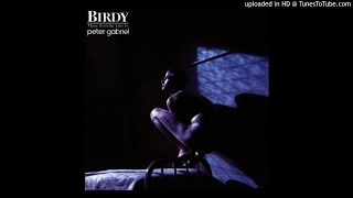 Powerhouse at the Foot of the Mountain - Peter Gabriel