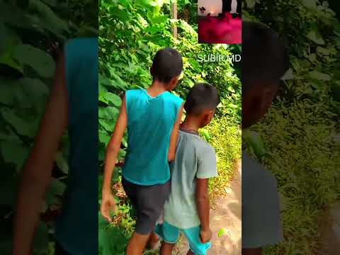 Why did you push me? 🥺 🥺 🥺 #why #didyou #push #me #youtube #viral