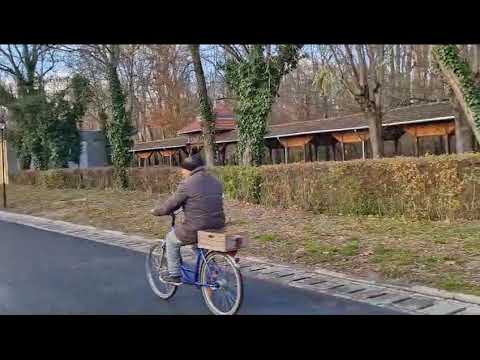 Buzias Teren cu Constructie Central in Parc-Oportunitate Investitie