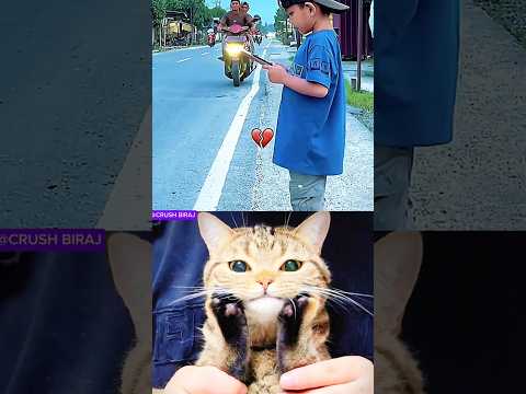 give this video title 🤣#10 (warning answer)#cat #meme #dance