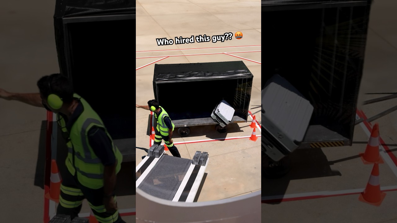 “It seems your luggage was lost in transit” ✈️