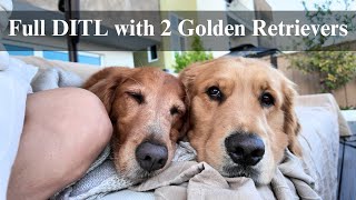 Full Day in the Life with 2 Golden Retrievers | Plant Care, Date with the pups, Backyard BBQ