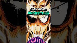 원피스 25년의 근간이 뒤집혔습니다 조이보이는 원숭이 였고, 앵무새는 이무
