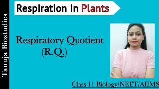 Respiration in Plants - Respiratory Quotient | Amphibolic pathway | Class 11 Biology/NEET/AIIMS