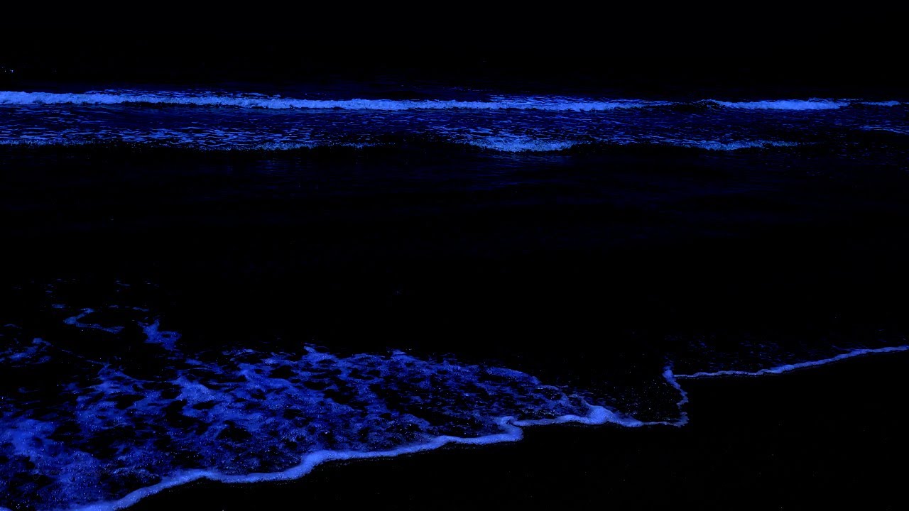 48 Hours of Ocean Sounds