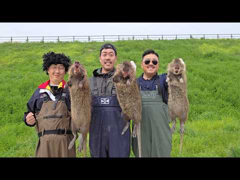 긴박한 추격과 포획틀로 뉴트리아를 잡아서 통째로 백숙으로 만들어 먹어보자!