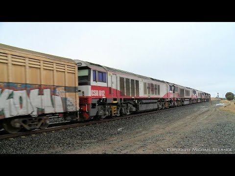 SCT 5PM9 Freight Train With Five Locomotives - PoathTV Australian Railways