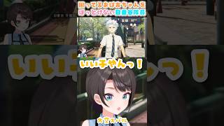 おばあちゃん子な日番谷隊長【BLEACH Rebirth of Souls /大空スバル/ホロライブ】