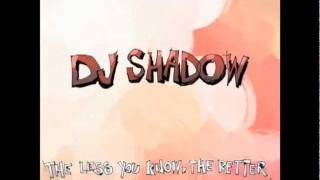 Dj Shadow - Circular logic
