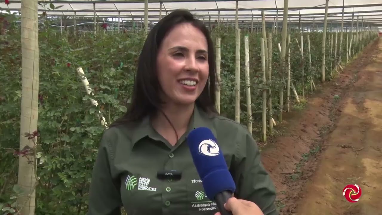 Barbacena é destaque na produção de flores