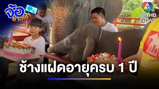 ฉลองวันเกิดอายุครบ 1 ปี 