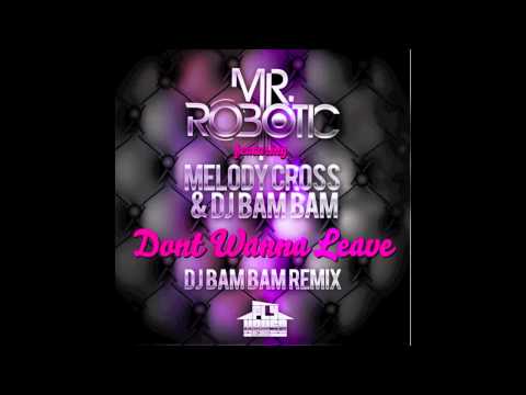 Mr.Robotic feat. Dj Bam Bam- Dont wanna leave (DJ Bam Bam Remix)