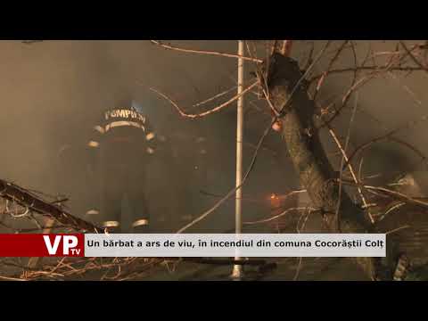 Un bărbat a ars de viu, în incendiul din comuna Cocorăștii Colț