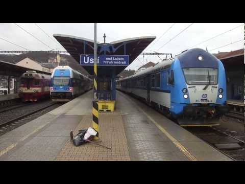 Sysel v Ústí nad Labem