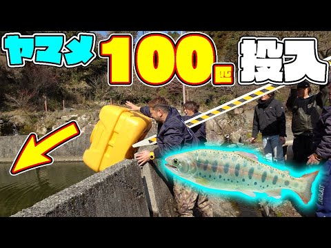 【山復興第2弾#42】綺麗にした生簀にヤマメを100匹入れてみた！！
