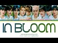 ZEROBASEONE In Bloom Lyrics 제로베이스원 In Bloom 가사 Color Coded Lyrics