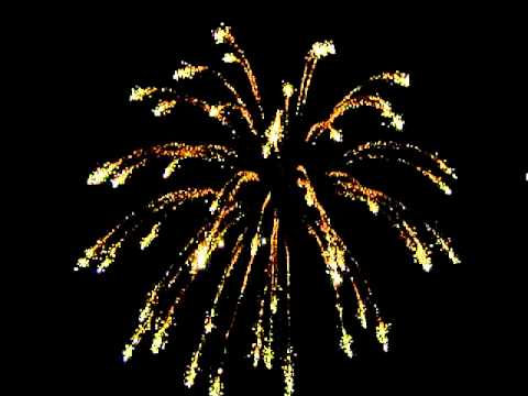 5"shell,crackling willow coconut