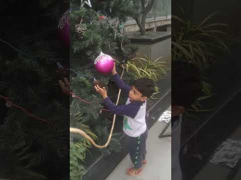 prince Rishik||Christmas vibes||Christmas celebrations🎉🎊||cute baby video#rishik #baby videos