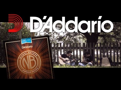 JARVIS for BODE | D'addario Nickel-Bronze Test