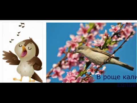 Видео МЭЦ #13