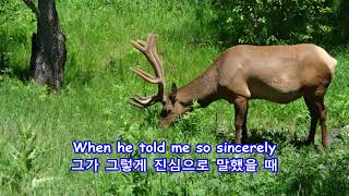 How Insensitive -Olivia Newton-John:with Lyrics(가사번역)||Rocky Mountain National Park on June 19, 2014